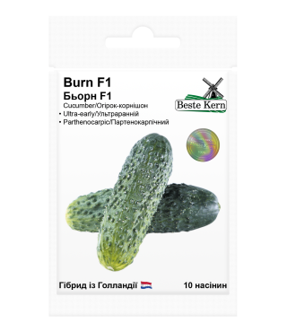 Огурец Бьёрн F1 Beste Kern 10 шт