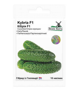Огурец Кибрия F1 Beste Kern 10 шт