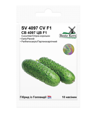 Огурец СВ 4097 ЦВ F1 Beste Kern 10 шт