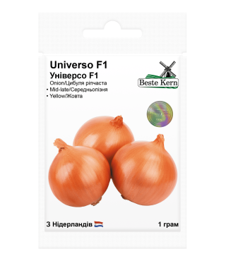 Лук Универсо F1 Beste Kern 1г.