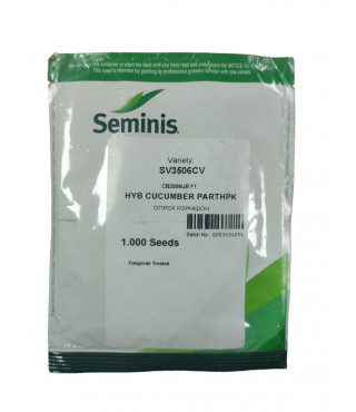 Огурец СВ 3506 ЦВ (SV 3506 CV) Seminis 1000 шт