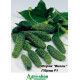Огурец гибрид Эколь (Ekol F1) Syngenta 500 семян