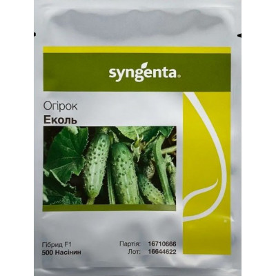 Семена Огурец гибрид Эколь (Ekol F1) Syngenta 500 шт Семена Огурец гибрид Эколь (Ekol F1) Syngenta 500 шт