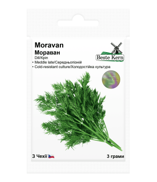 Укроп Мораван Beste Kern 3г.