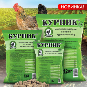 «Курник + РК": обзор обновленного состава