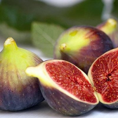 Саженцы инжира Texas Everbearing Fig раннего ремонтантного