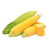 Кукуруза