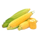 Семена кукурузы