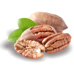 Пекан (5)