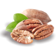 Саженцы пекана