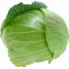 Капуста