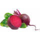 Семена свеклы