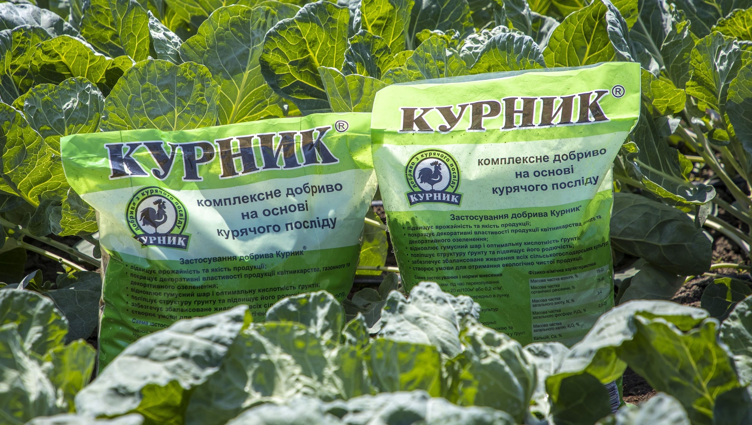 «Курник» - необходимое удобрение для любого сада и огорода