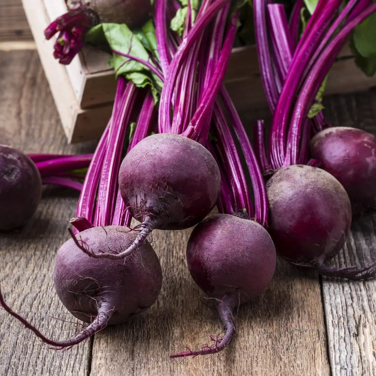 Ассортимент профессиональных семян свеклы на Agro-Shop